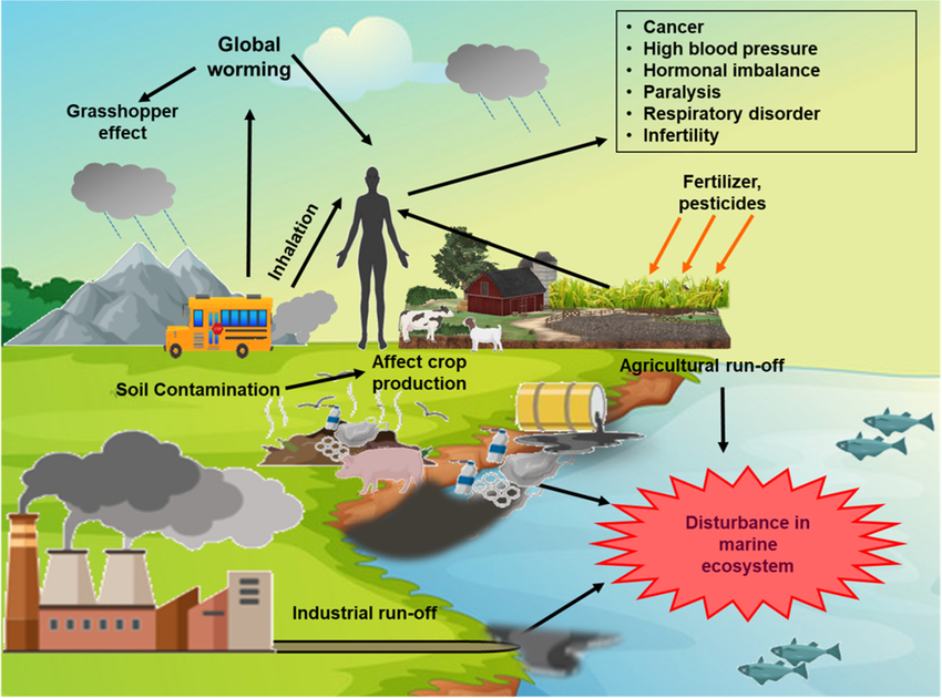 Vehicle Exhaust Particles and Ozone: A Comprehensive Guide to Air Pollution