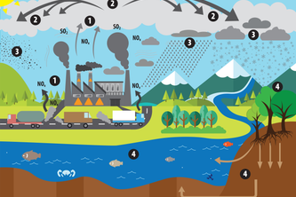 Car Exhaust and Acid Rain: The Damaging Effects and Mitigation Strategies