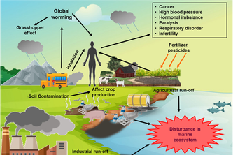 Vehicle Exhaust Particles and Ozone: A Comprehensive Guide to Air Pollution