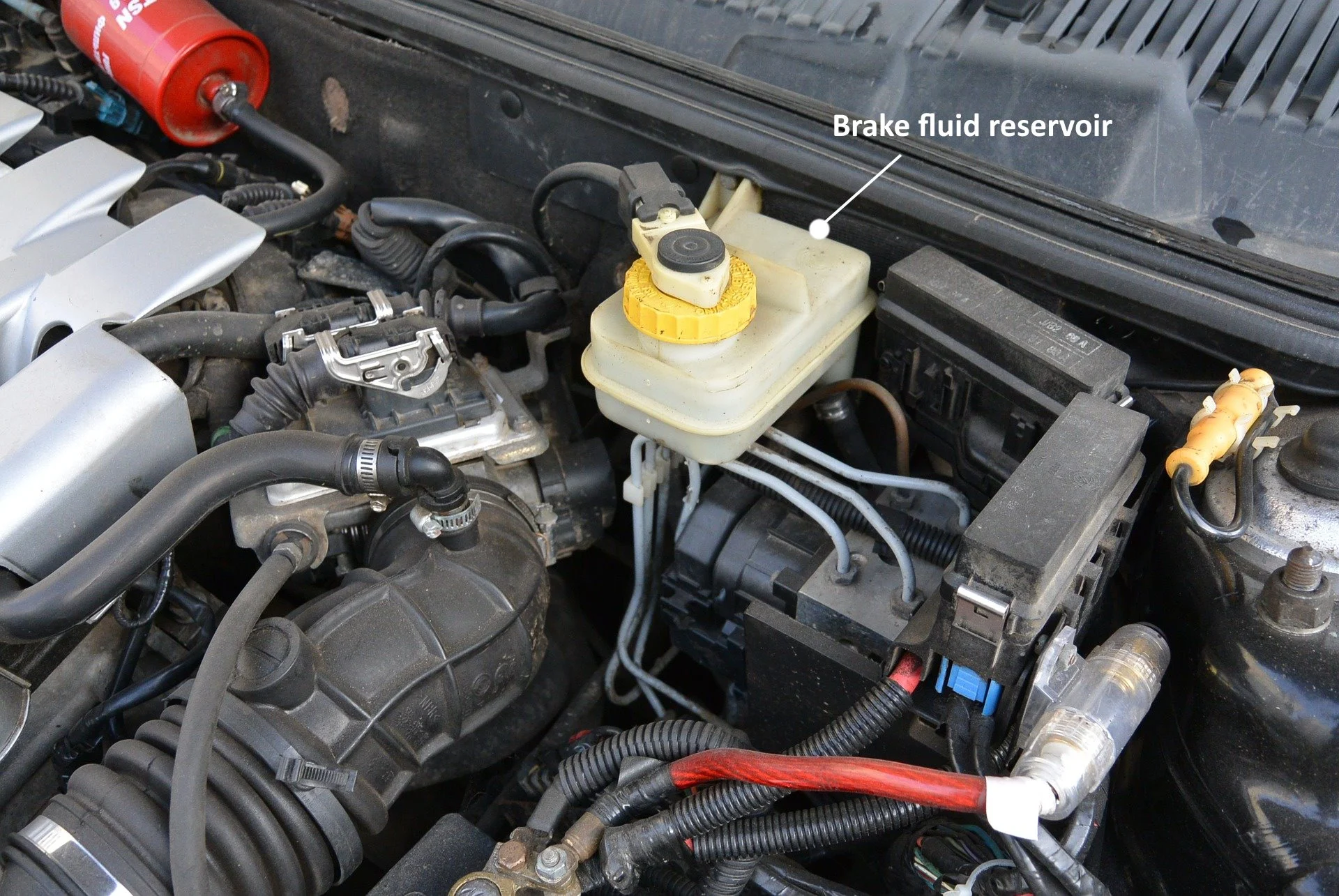 Brake Fluid Poisoning Symptoms: Signs, Causes, and Emergency Treatment